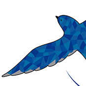 Logo Design for NACTE